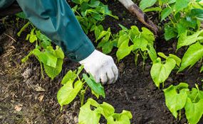 闄よ崏鍓? >
<div   id=